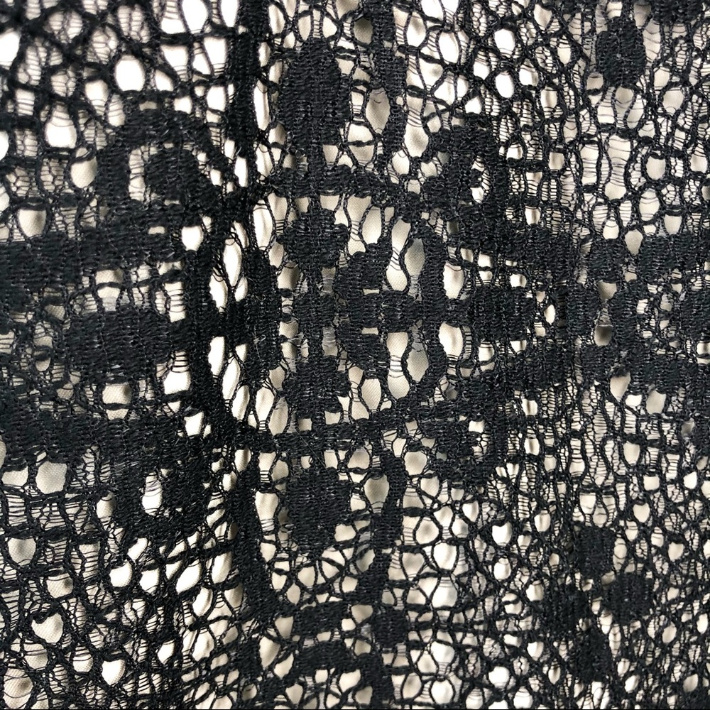 The Limited Lace Skirt - Picture 2 of 7